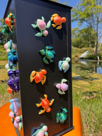 Turtle Magnet