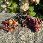 Baby Orchid Dragon