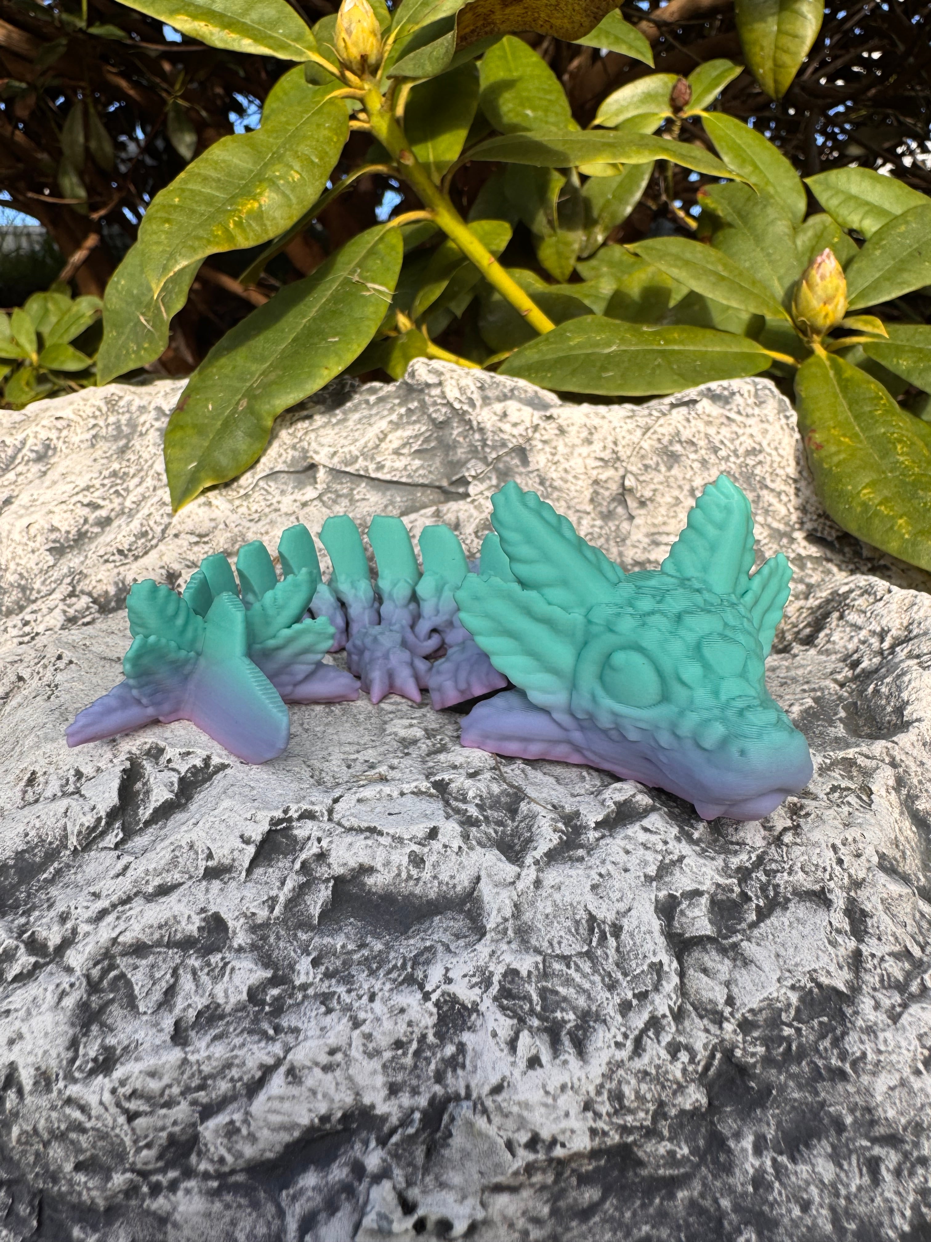 Baby Axolotl Dragon