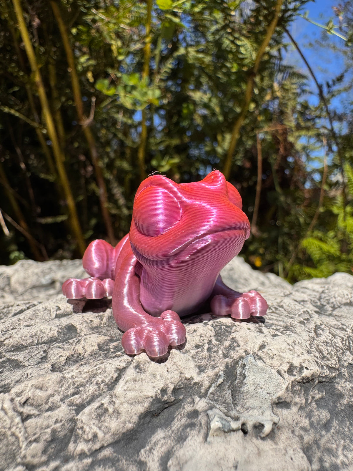 Mini Frog Magnet