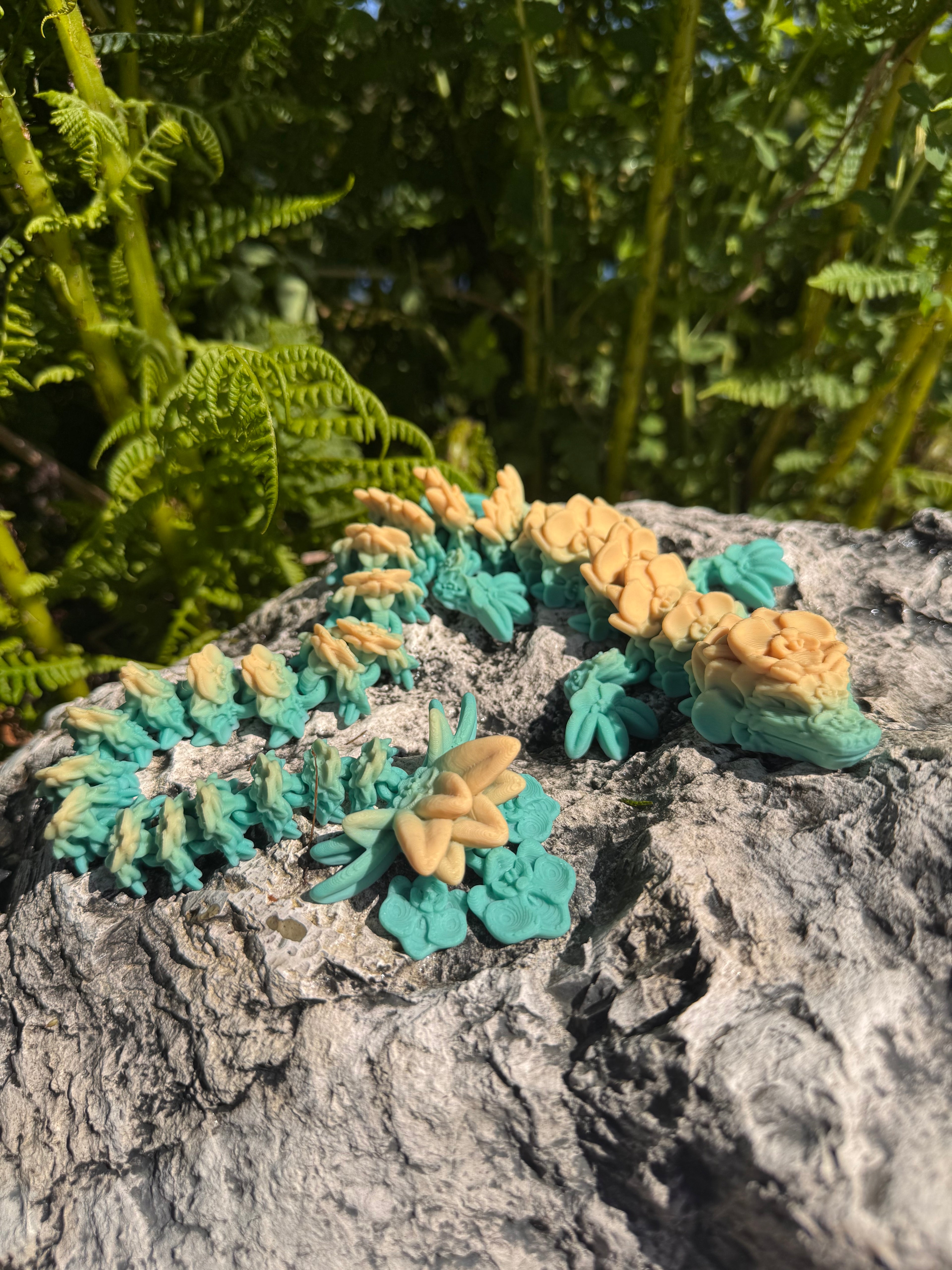 Orchid Dragon