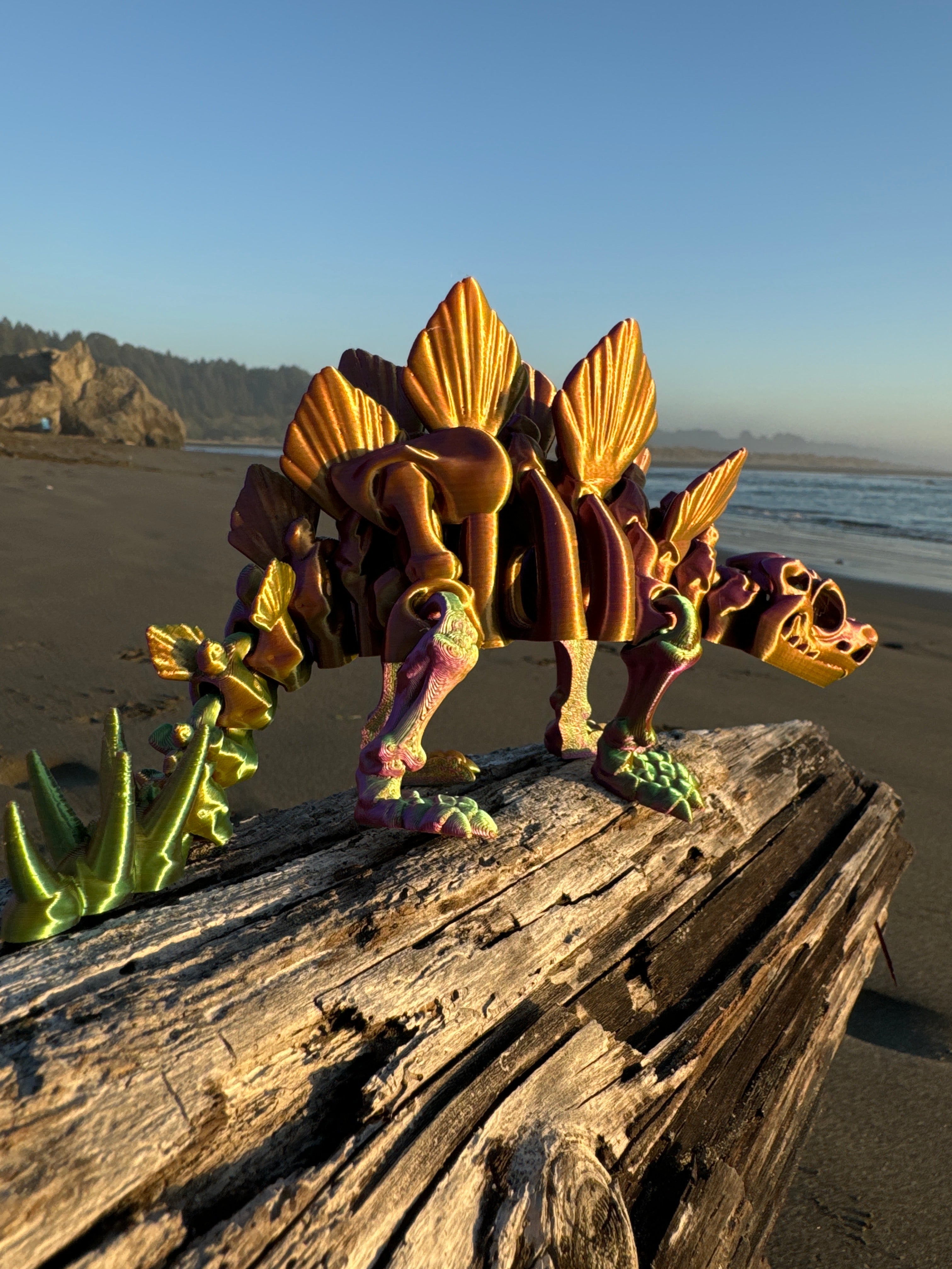 Stegasaurus