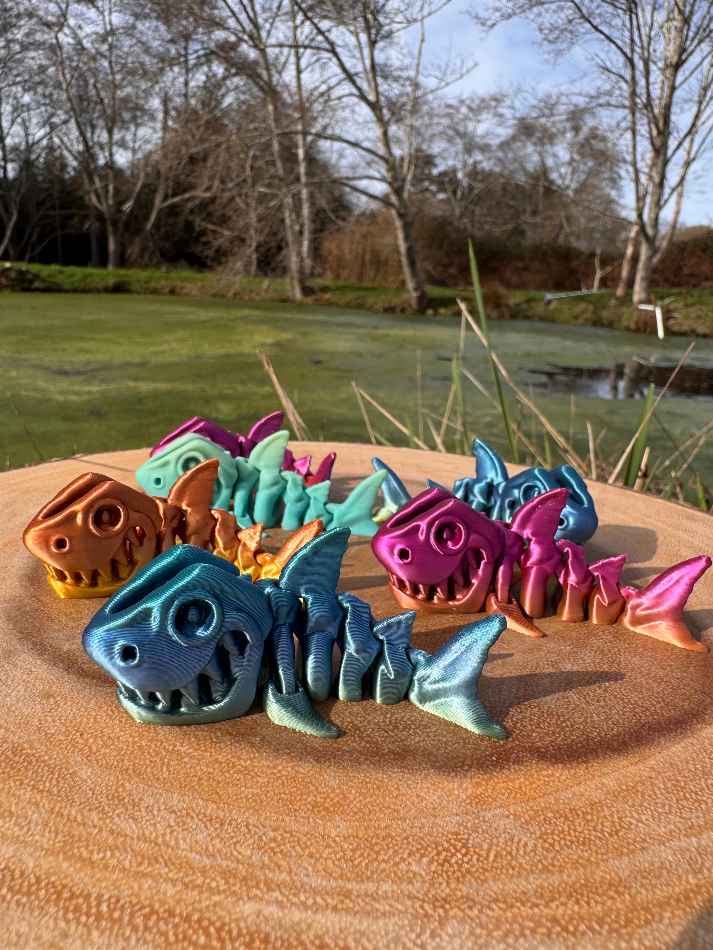 Skeleton Shark Mini