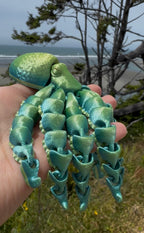 Octopus