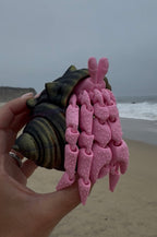Hermit Crab