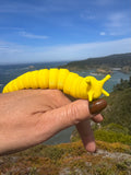 Banana Slug Fidget & Magnet