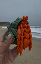 Hermit Crab