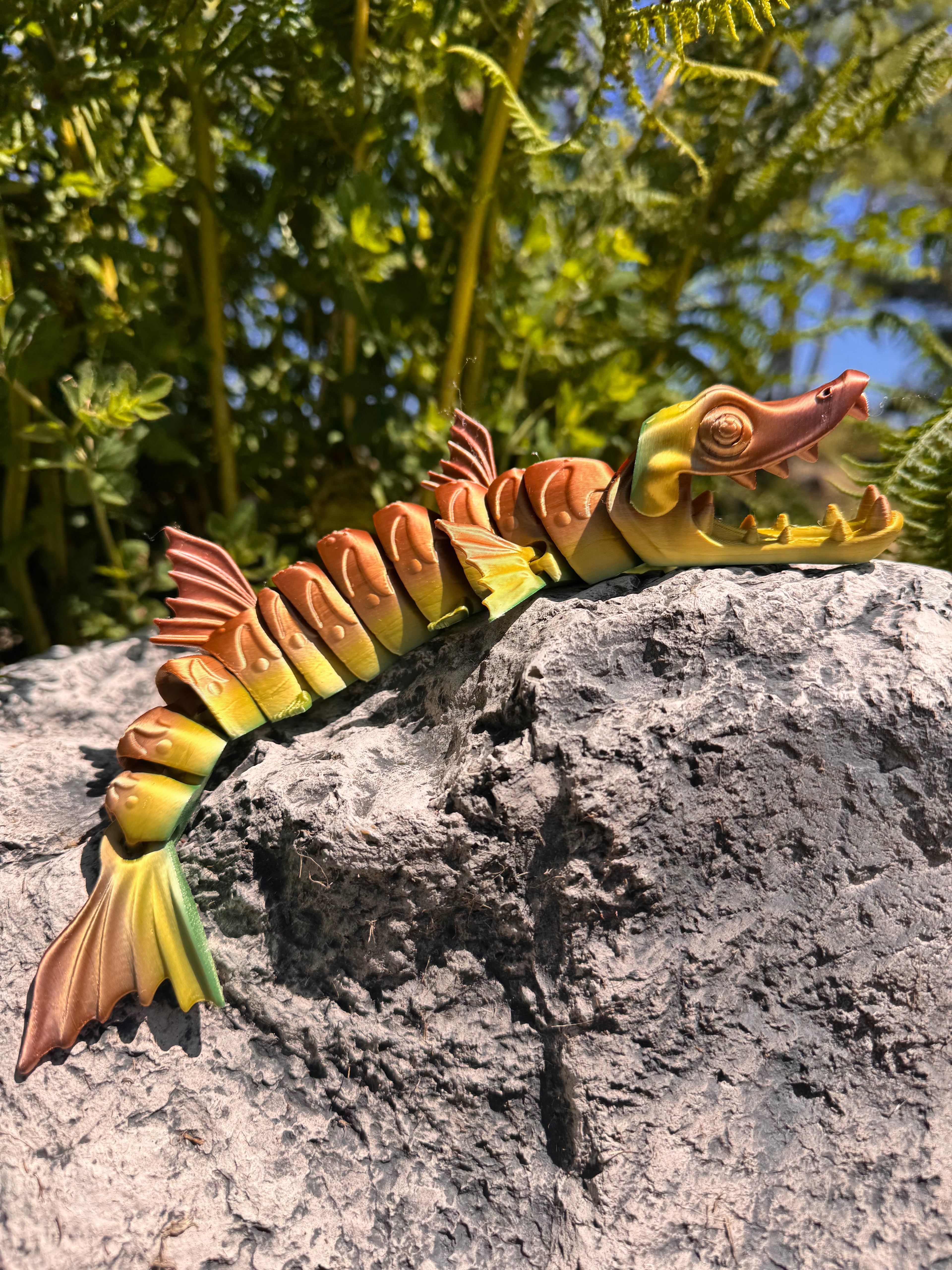 Barracuda