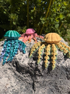 Jellyfish