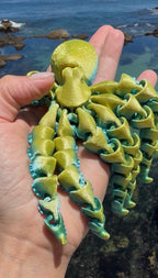 Octopus