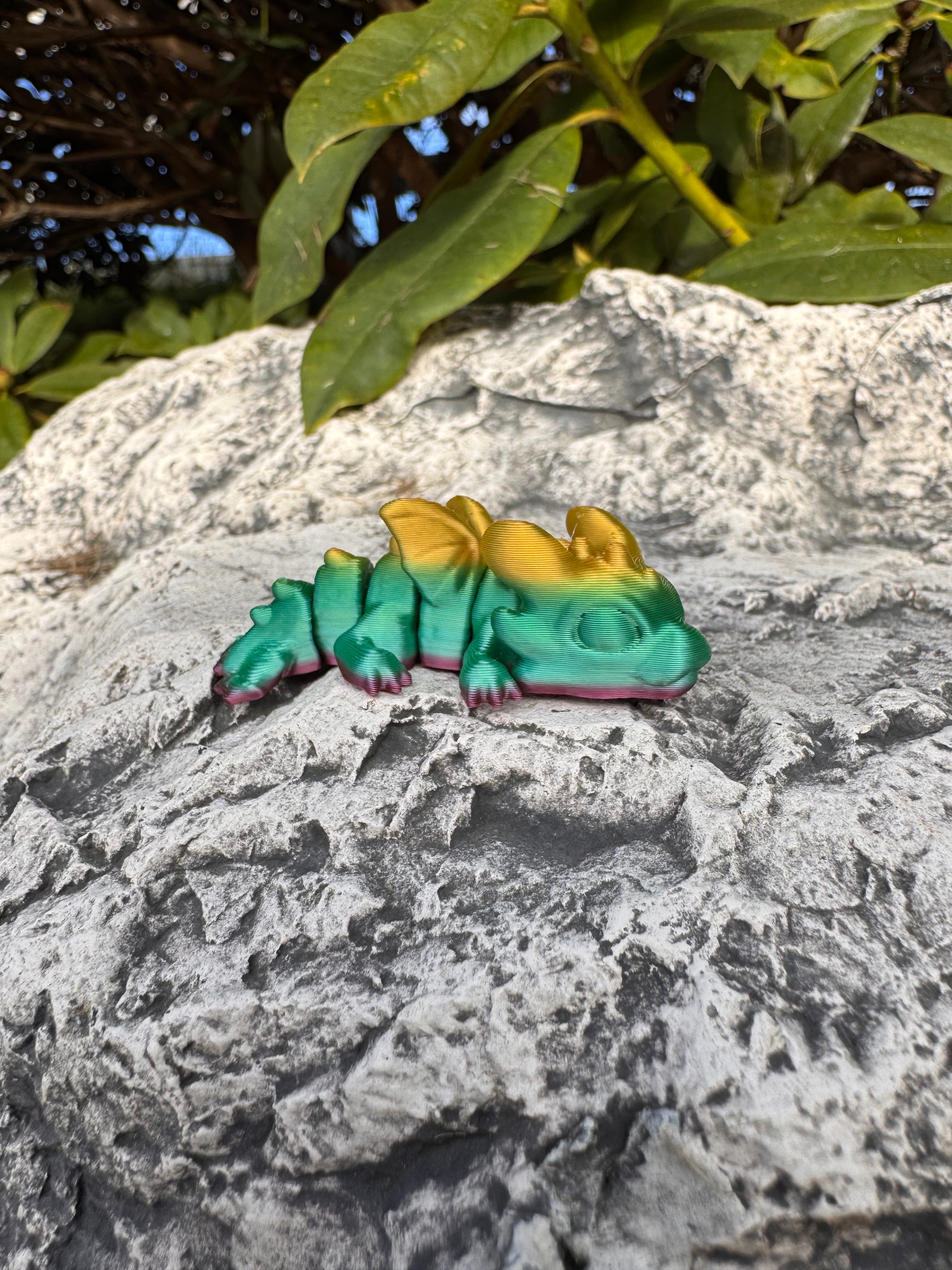 Dragon Hatchling
