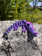 Crocodile