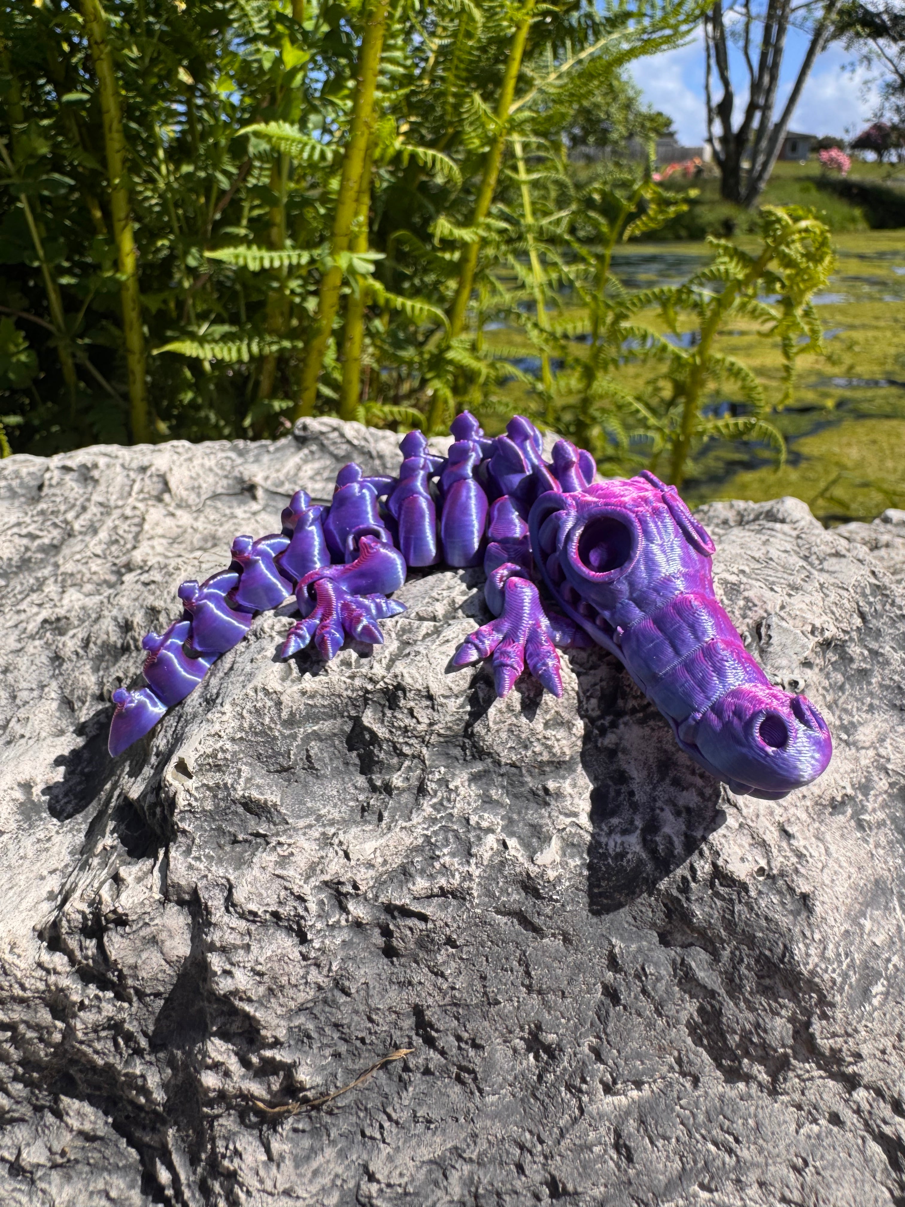 Crocodile