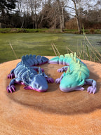 Flexi Axolotl