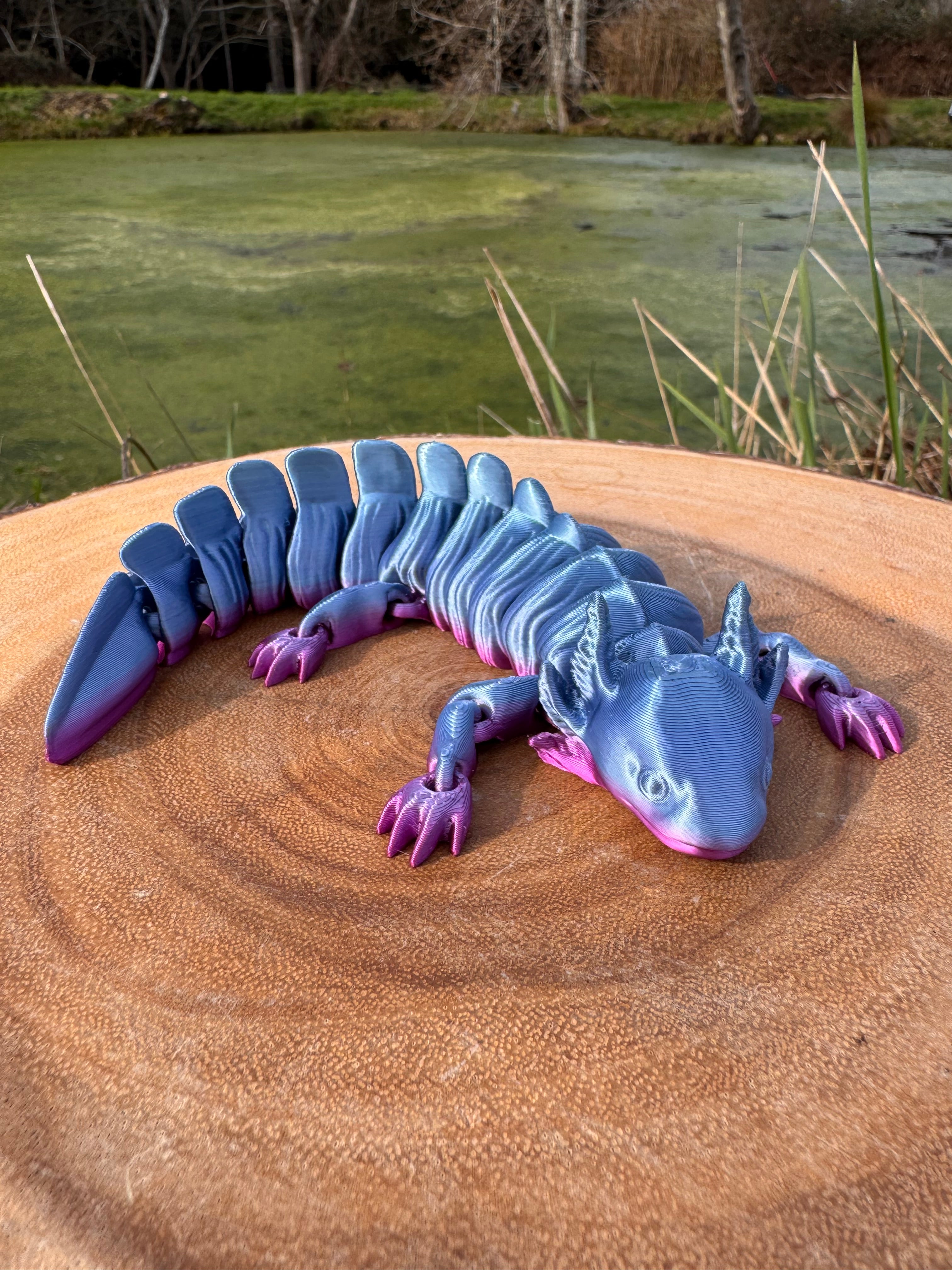 Axolotl – North Coast 3D Printing