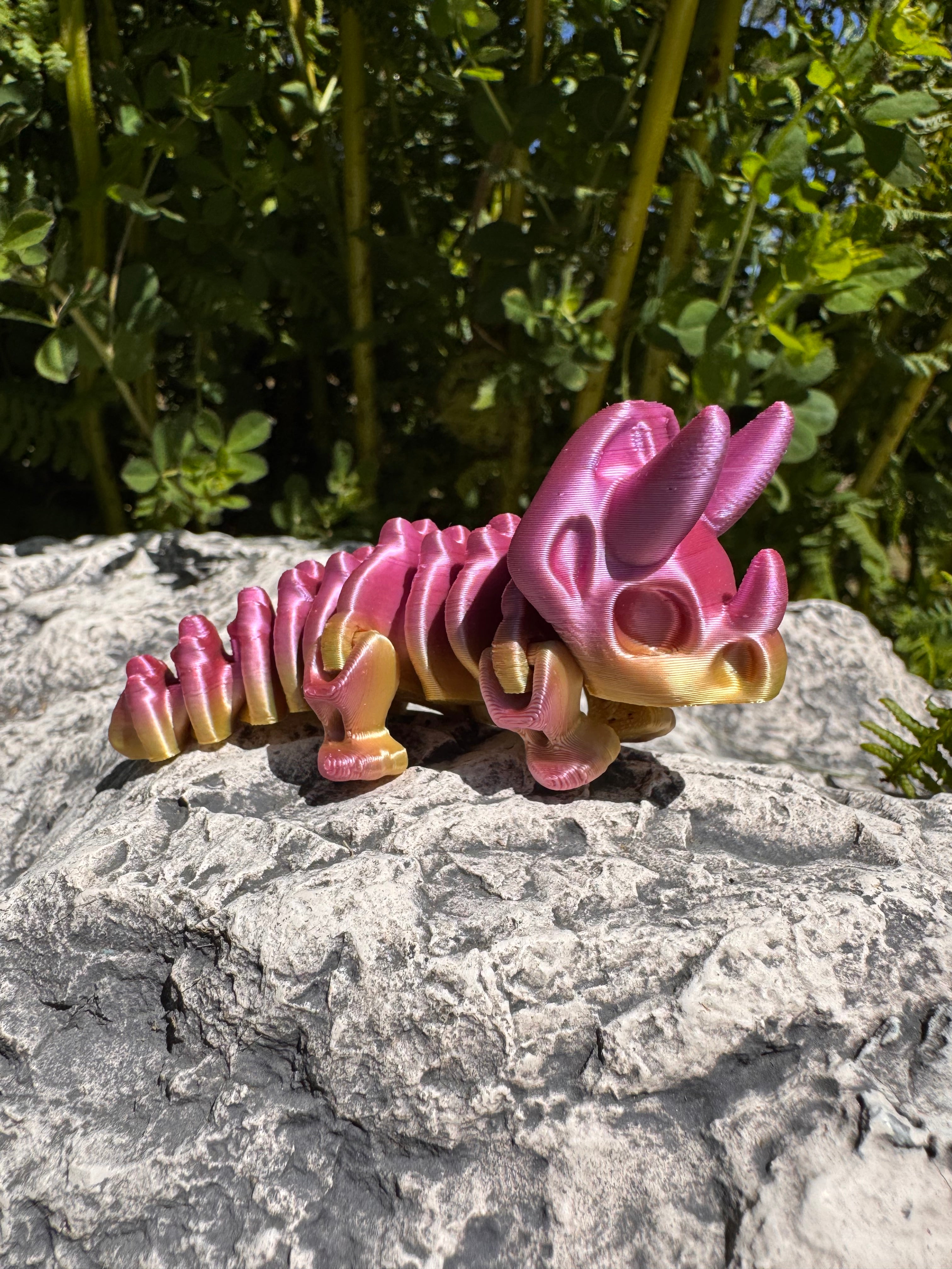 Baby Triceratops