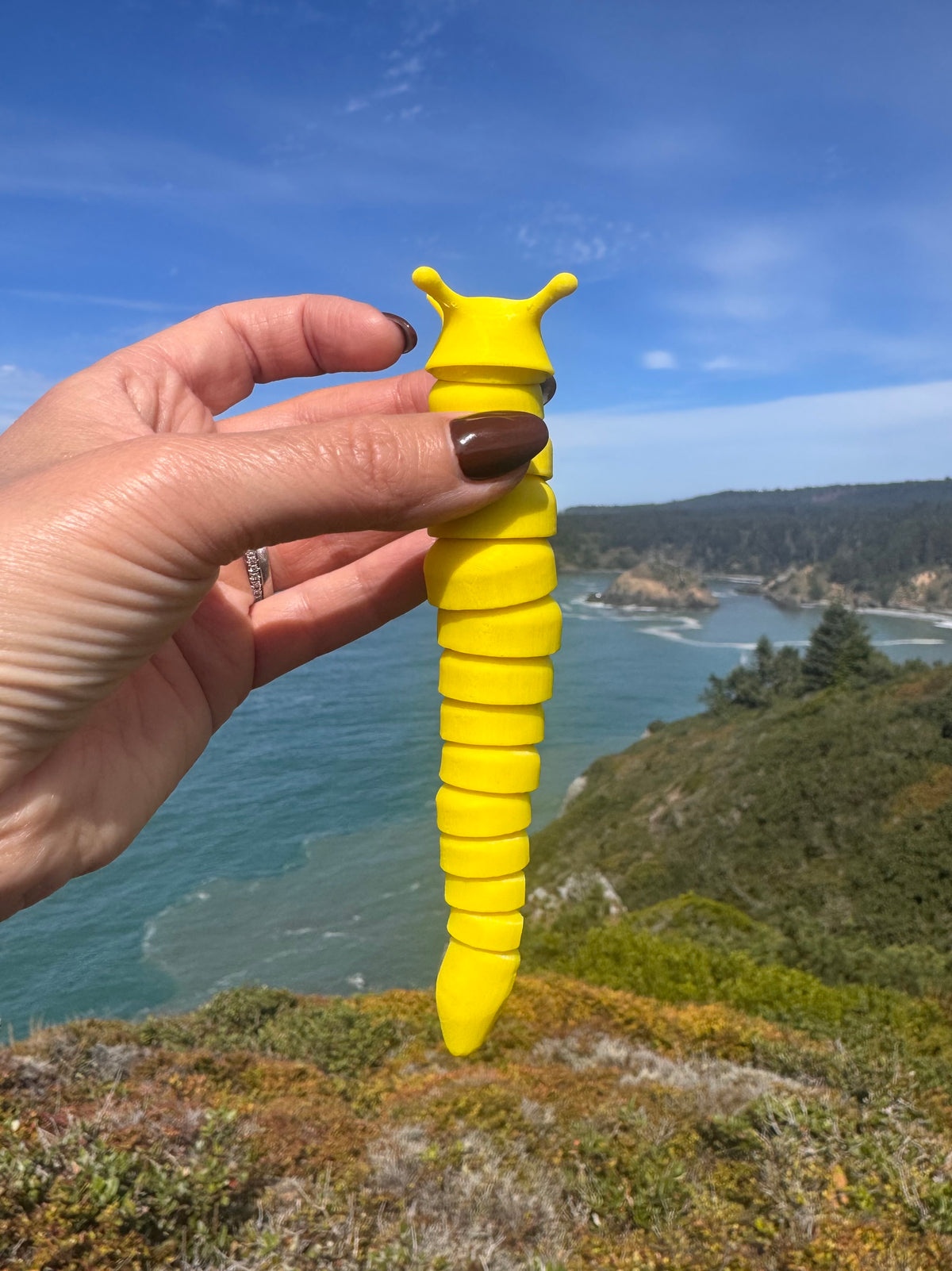 Banana Slug Fidget & Magnet