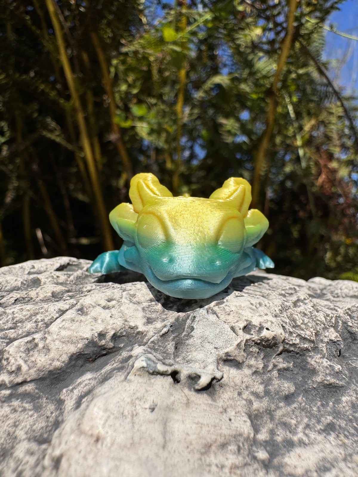 Axolotl Magnet