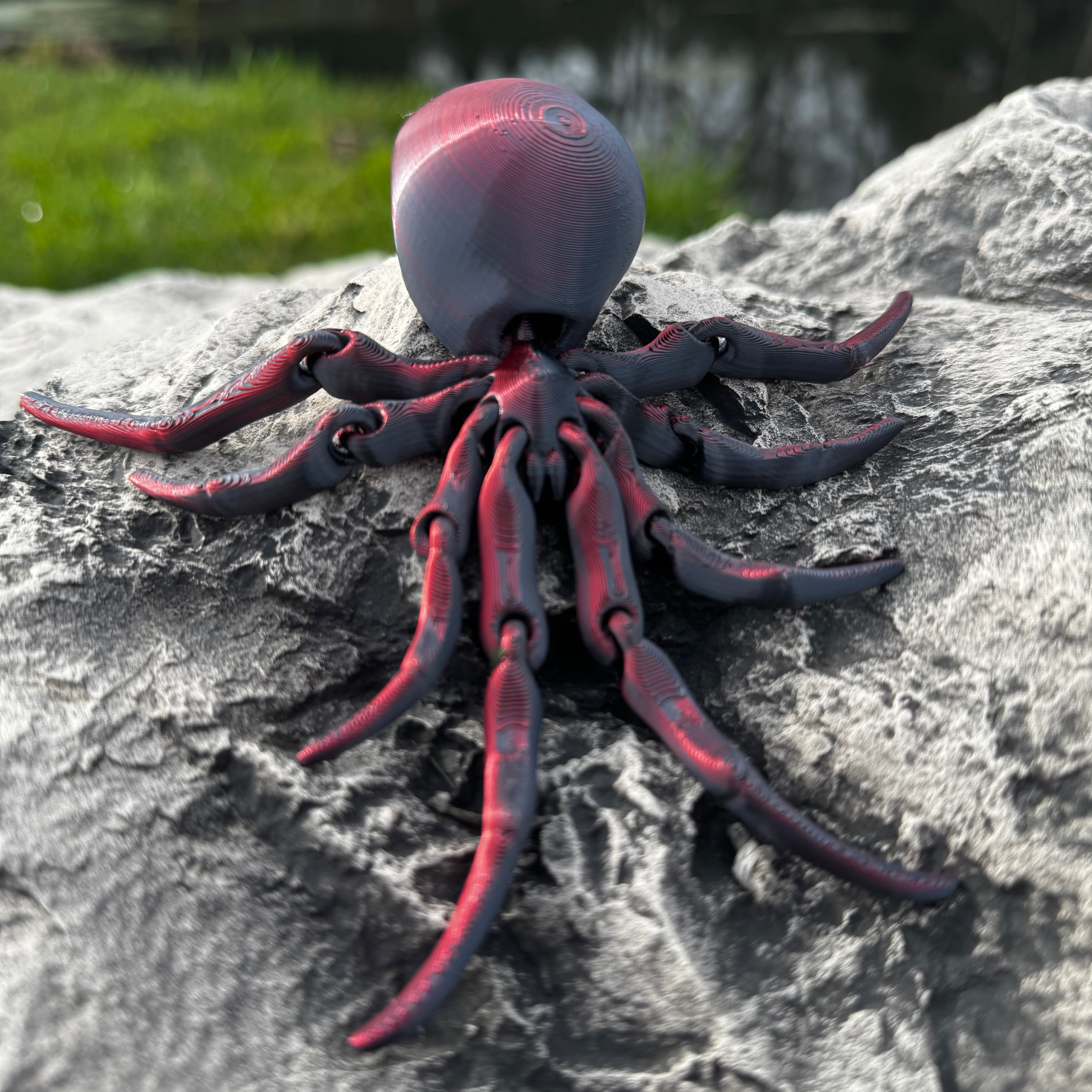 Spider