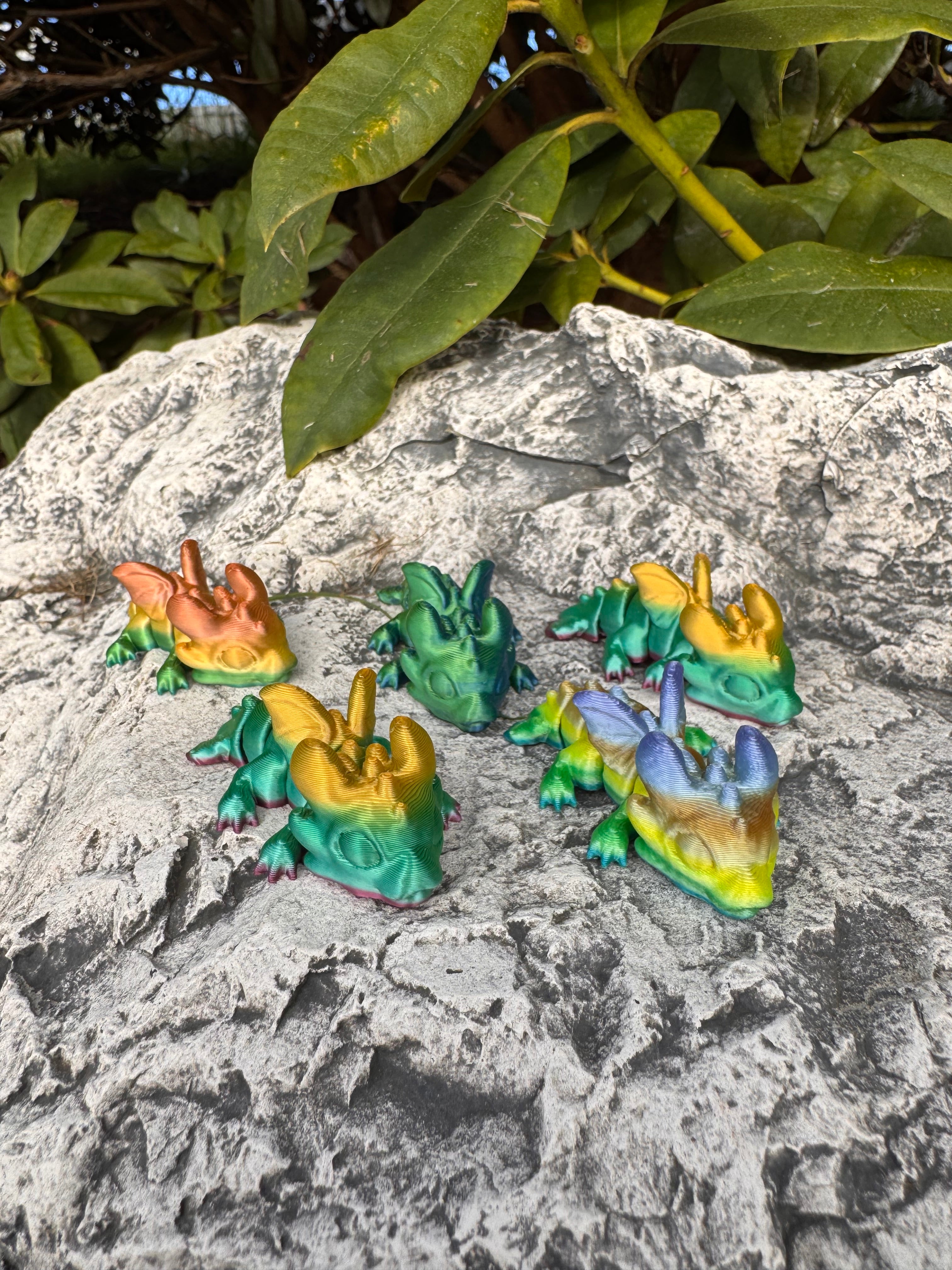 Dragon Hatchling