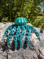 Jellyfish