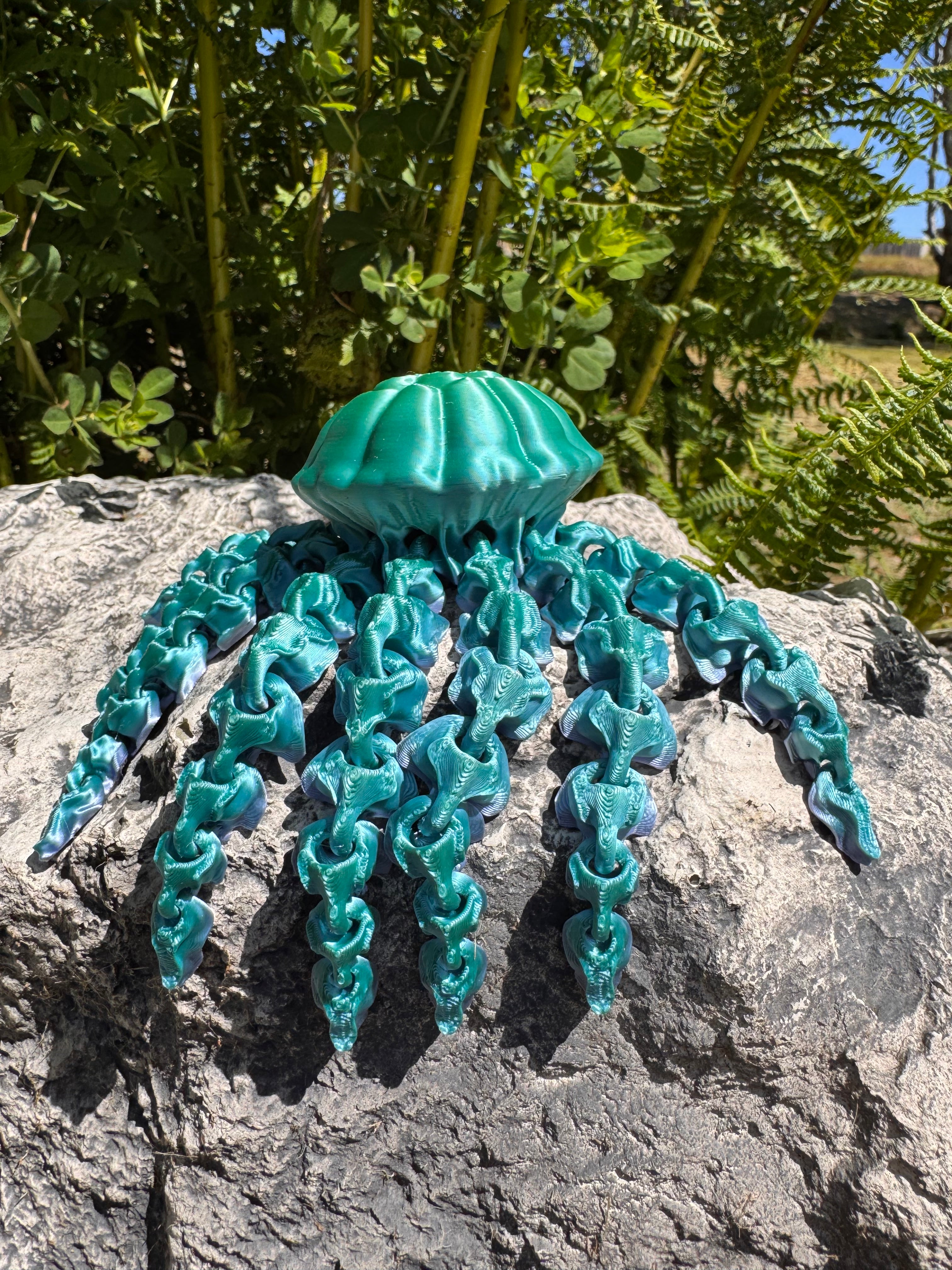 Jellyfish