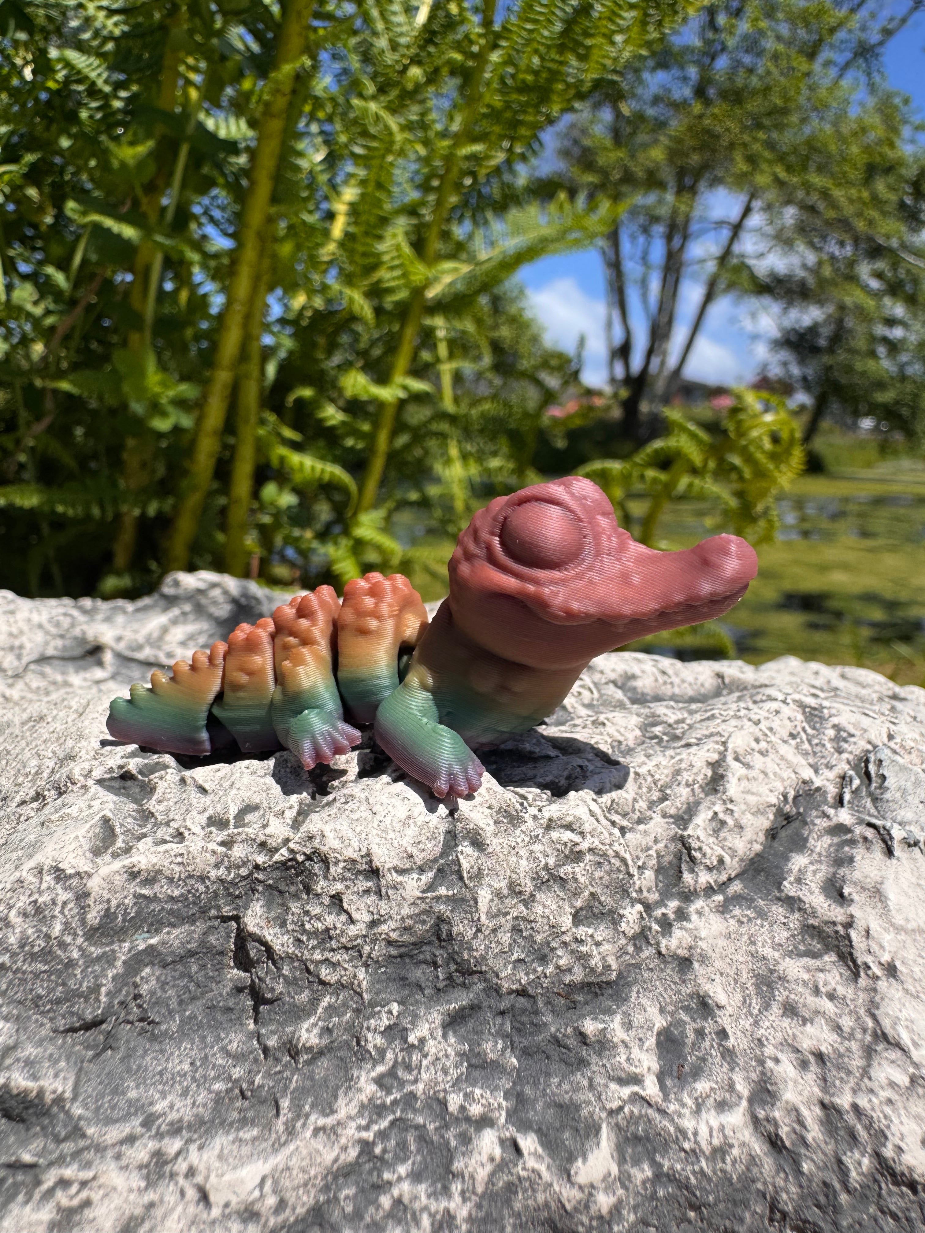 Hatchlings