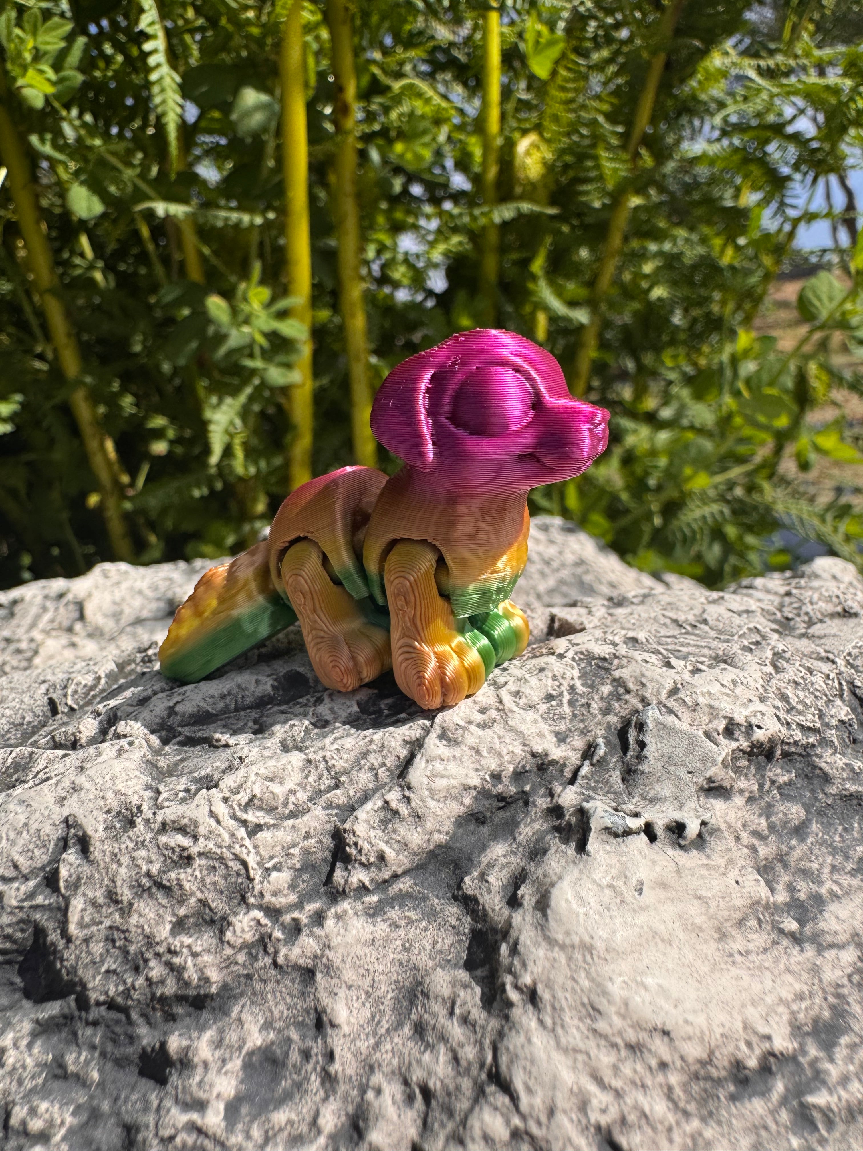 Hatchlings