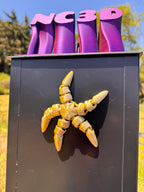 Starfish Magnet