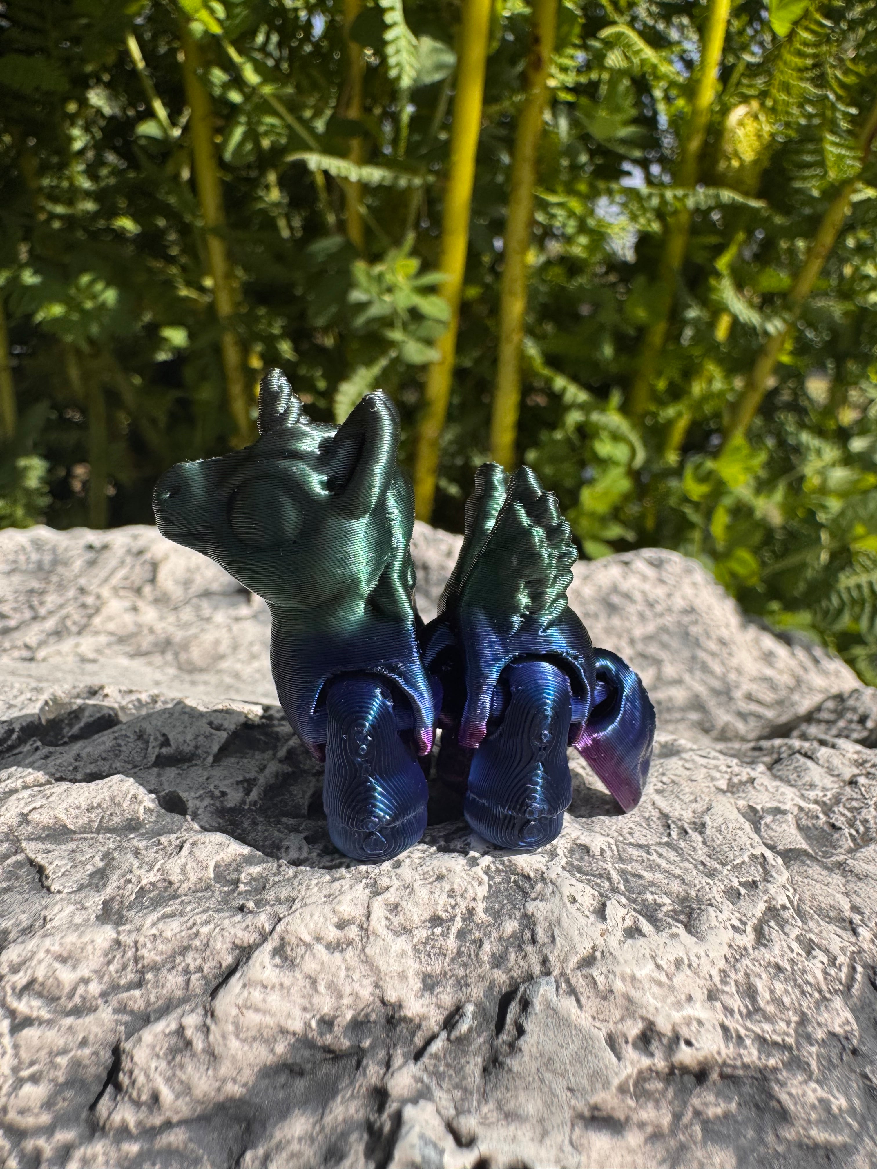 Hatchlings