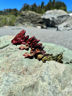 Baby Gemstone Dragon