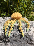 Jellyfish