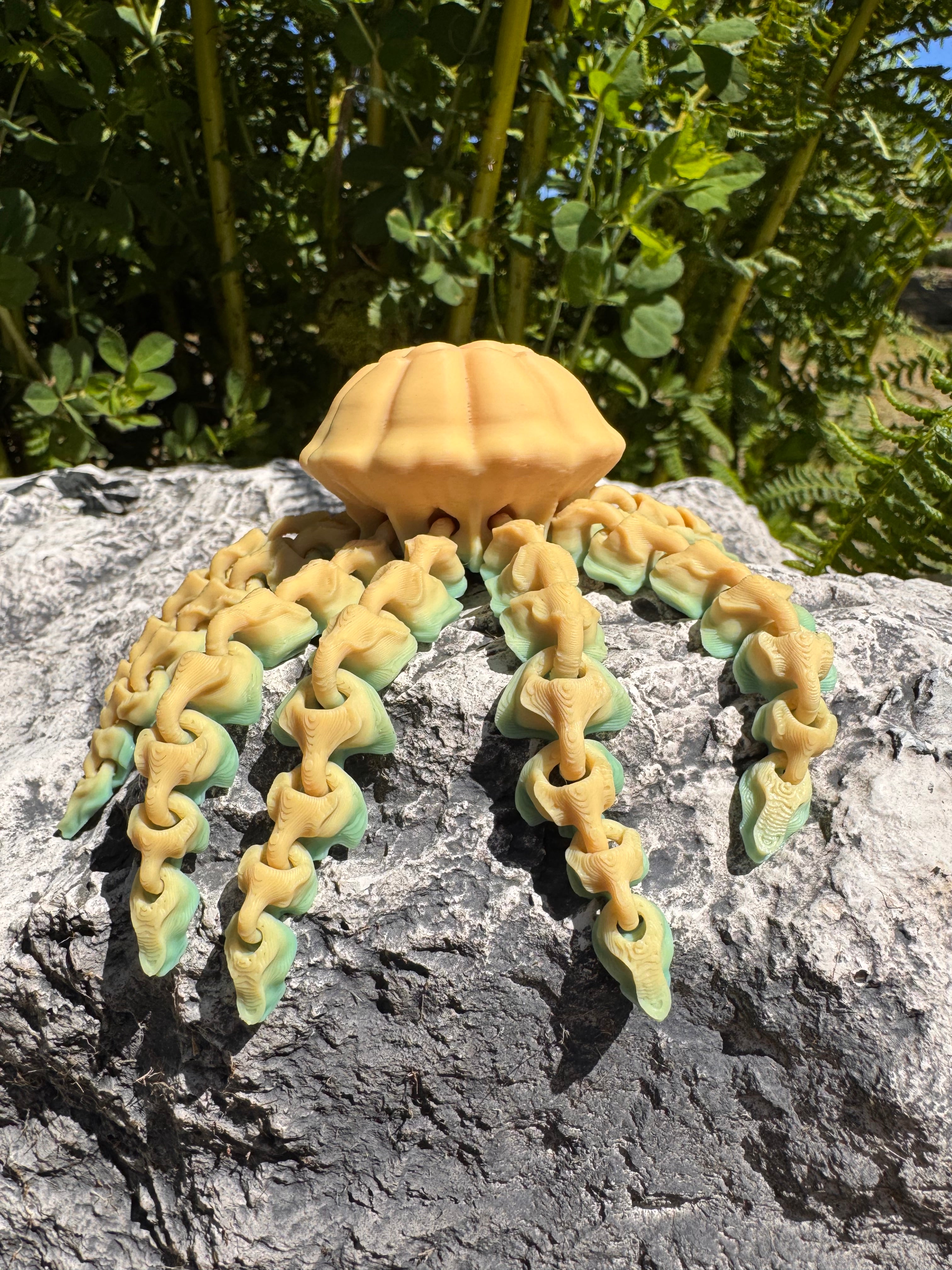 Jellyfish