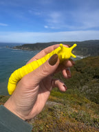 Banana Slug Fidget & Magnet