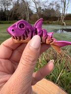 Skeleton Shark Mini