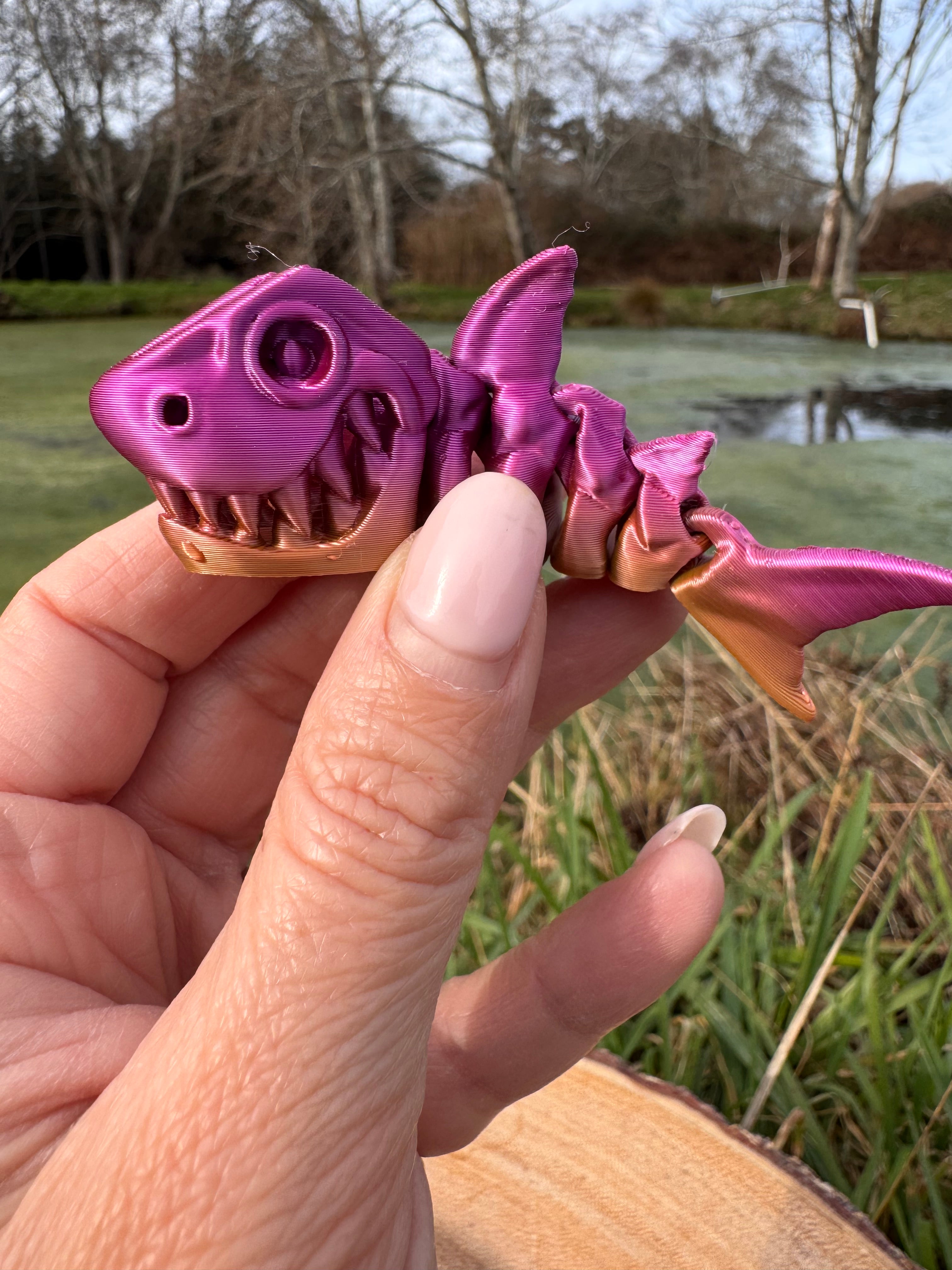 Skeleton Shark Mini