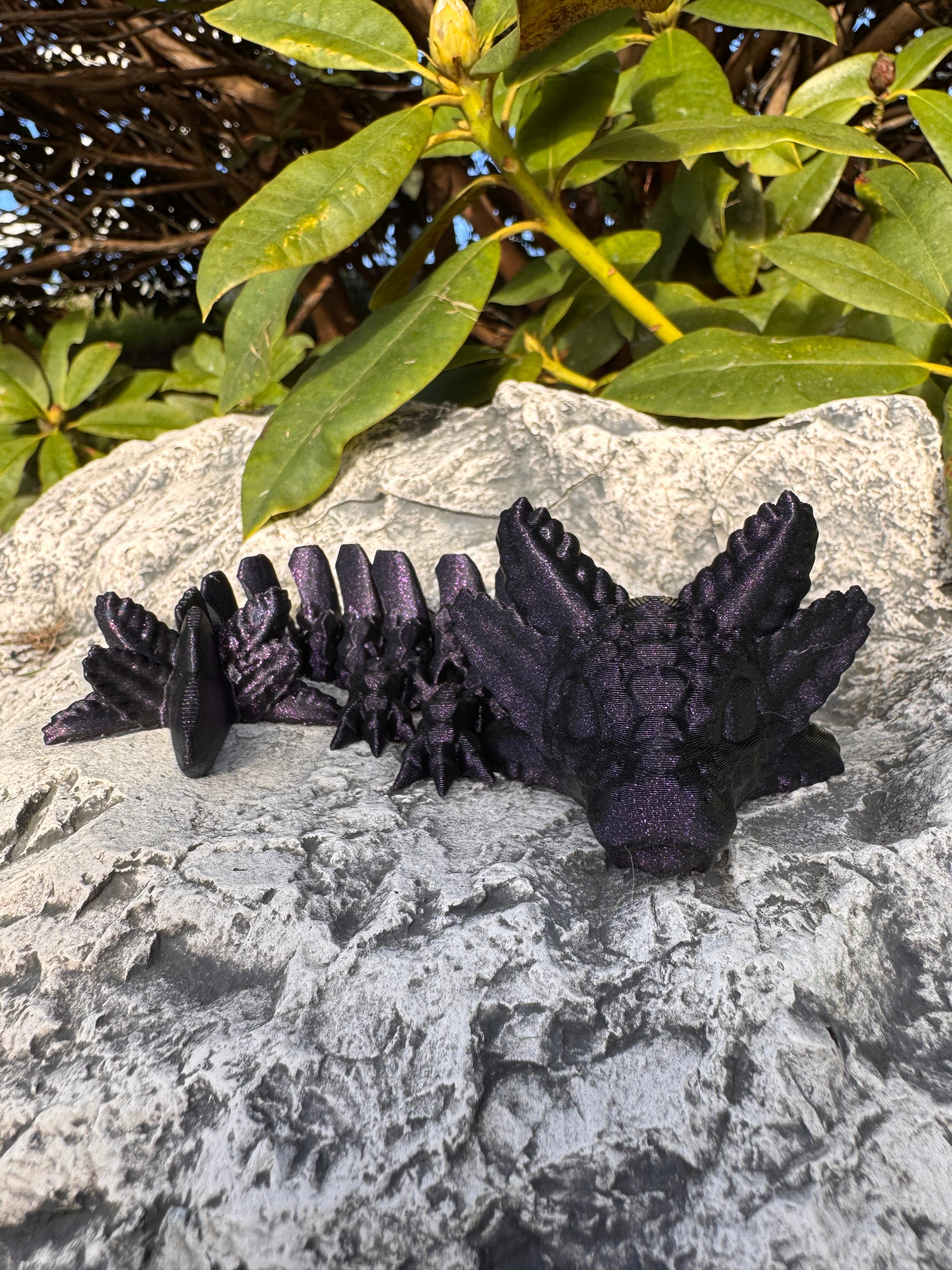 Baby Axolotl Dragon