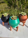 Tiny Planters