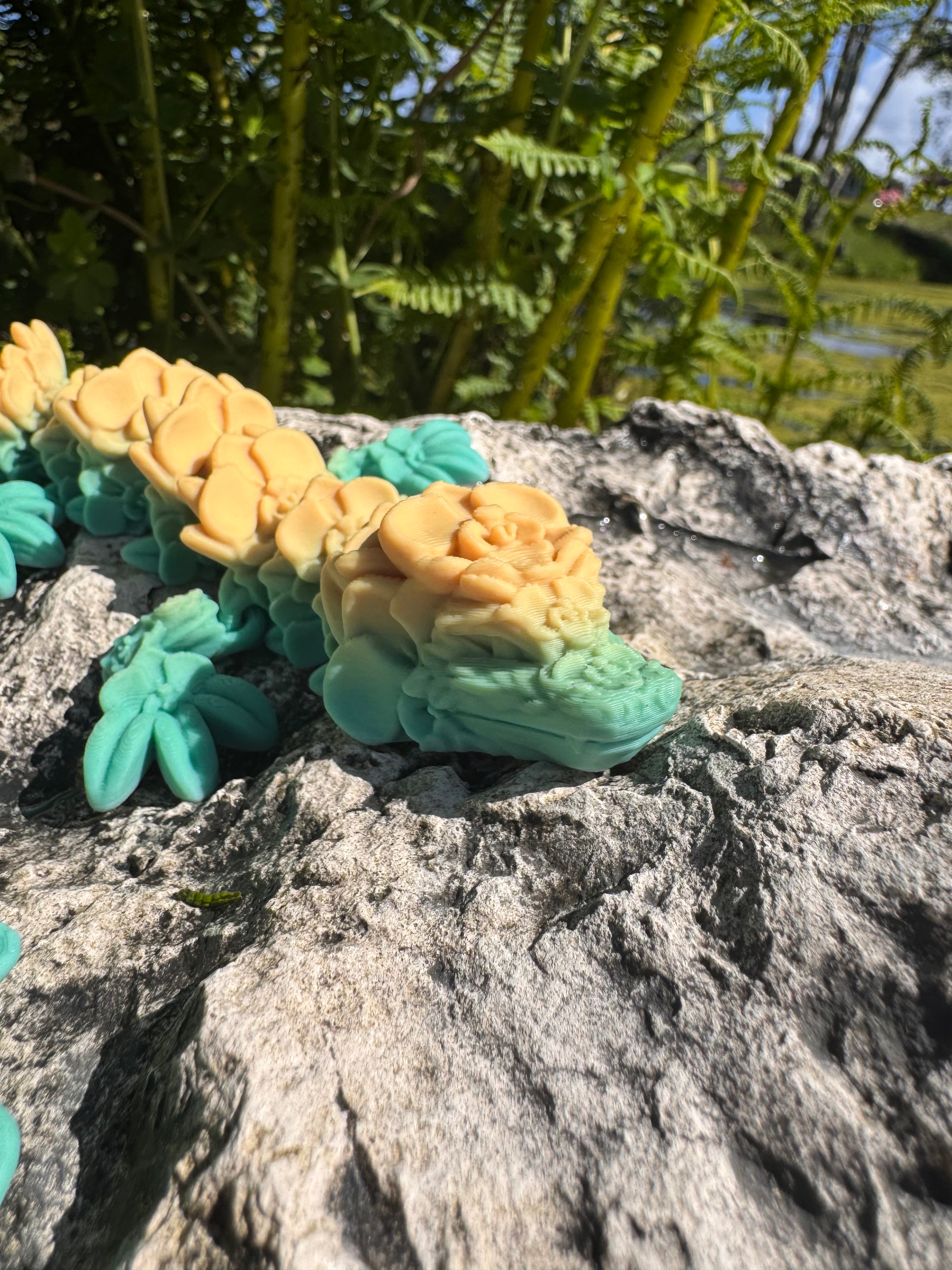 Orchid Dragon