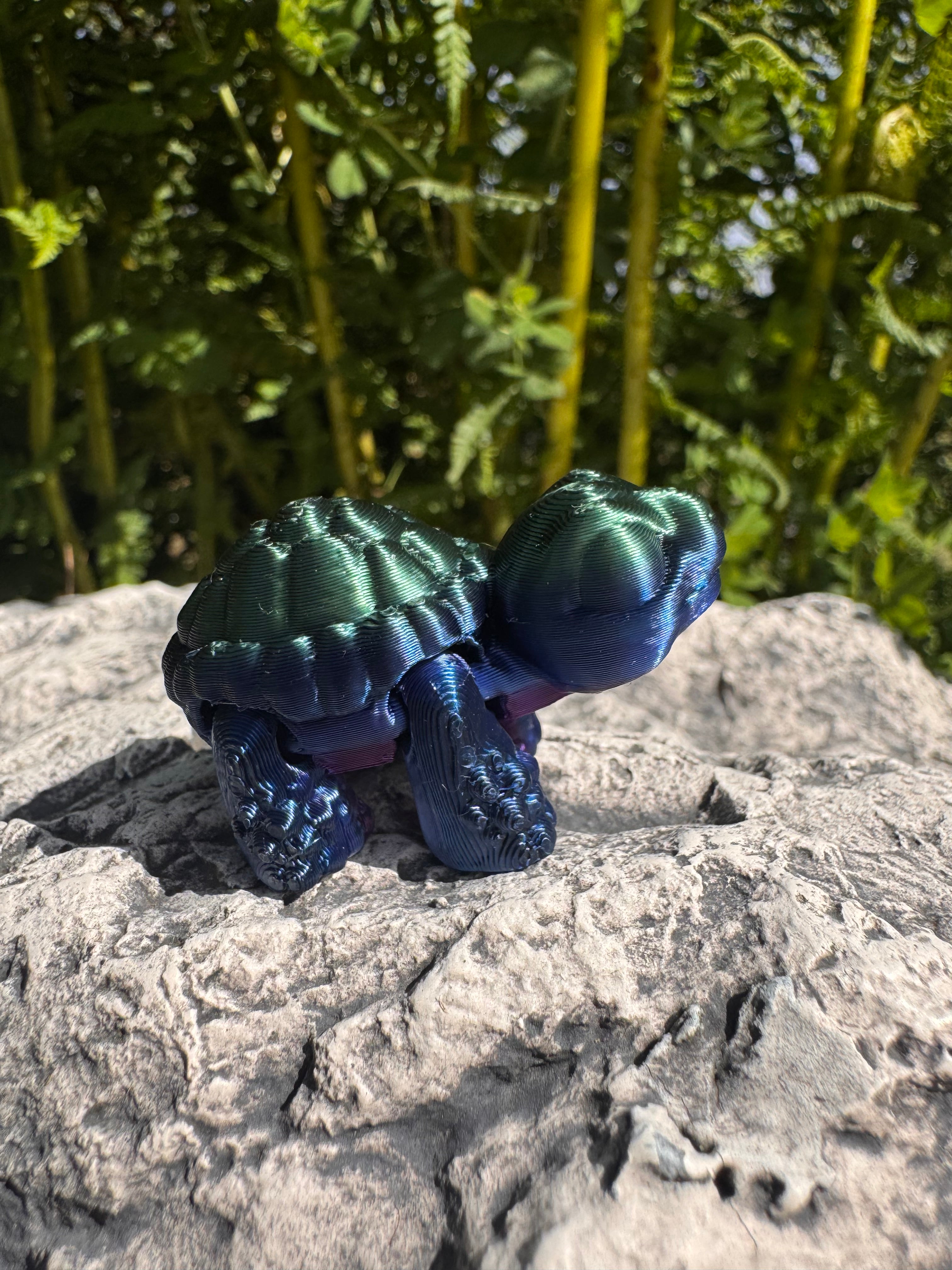 Hatchlings