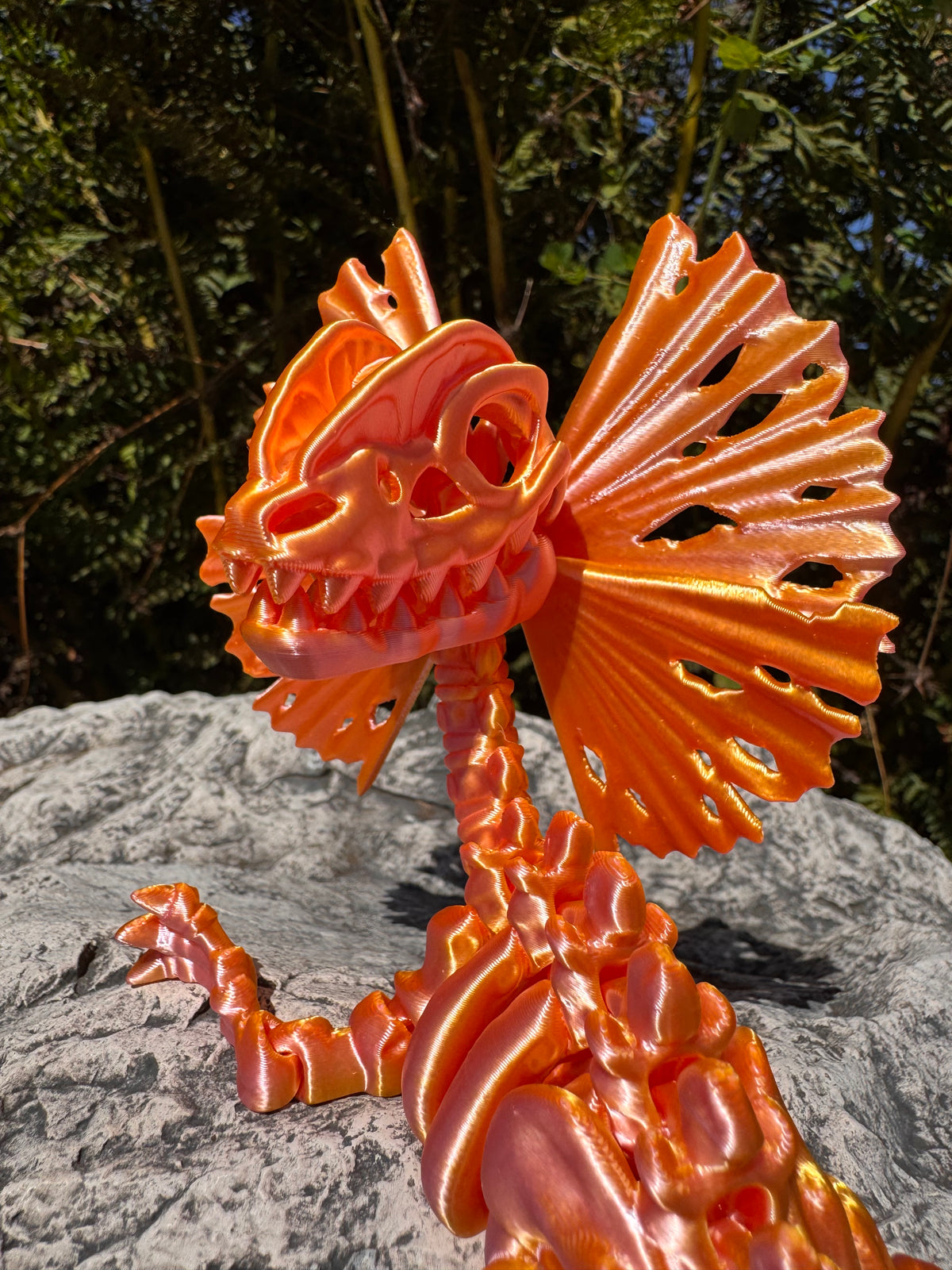 Dilophosaurus