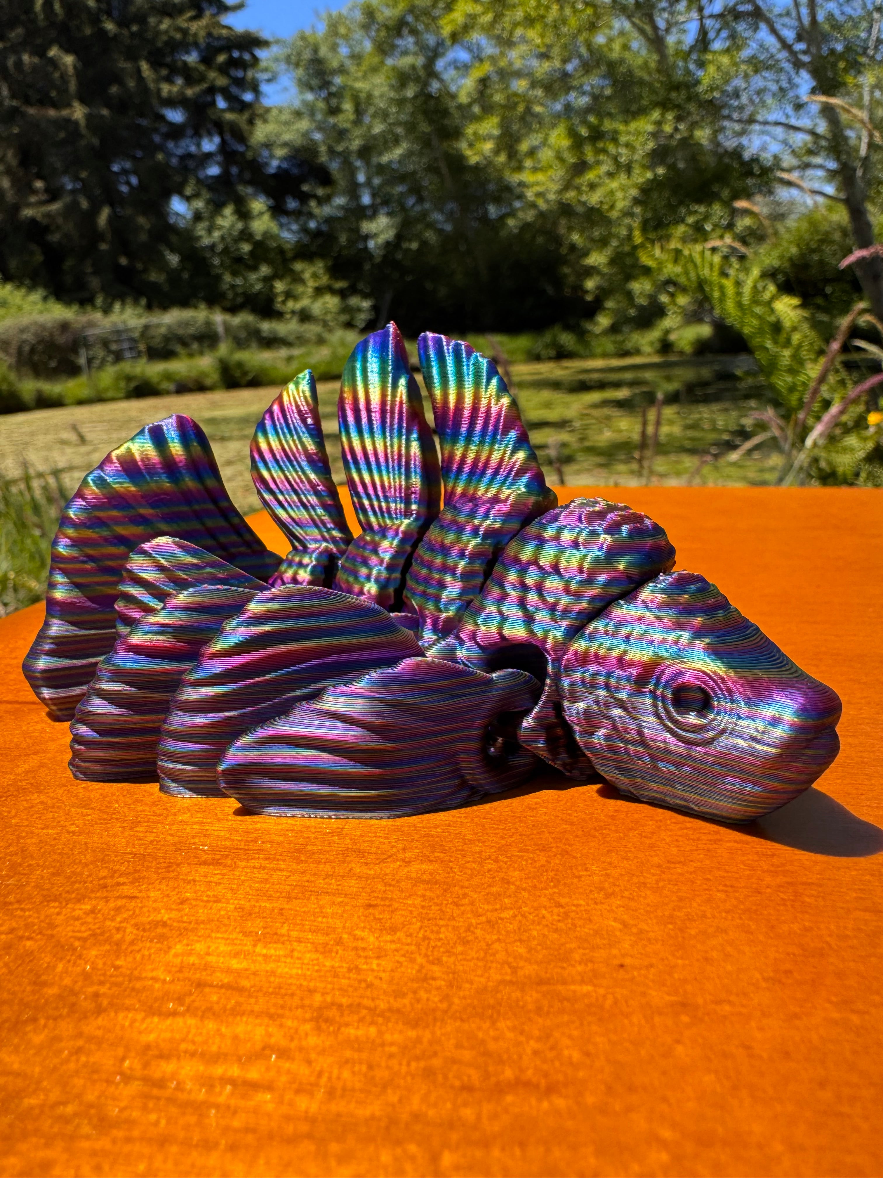 Beta Fish