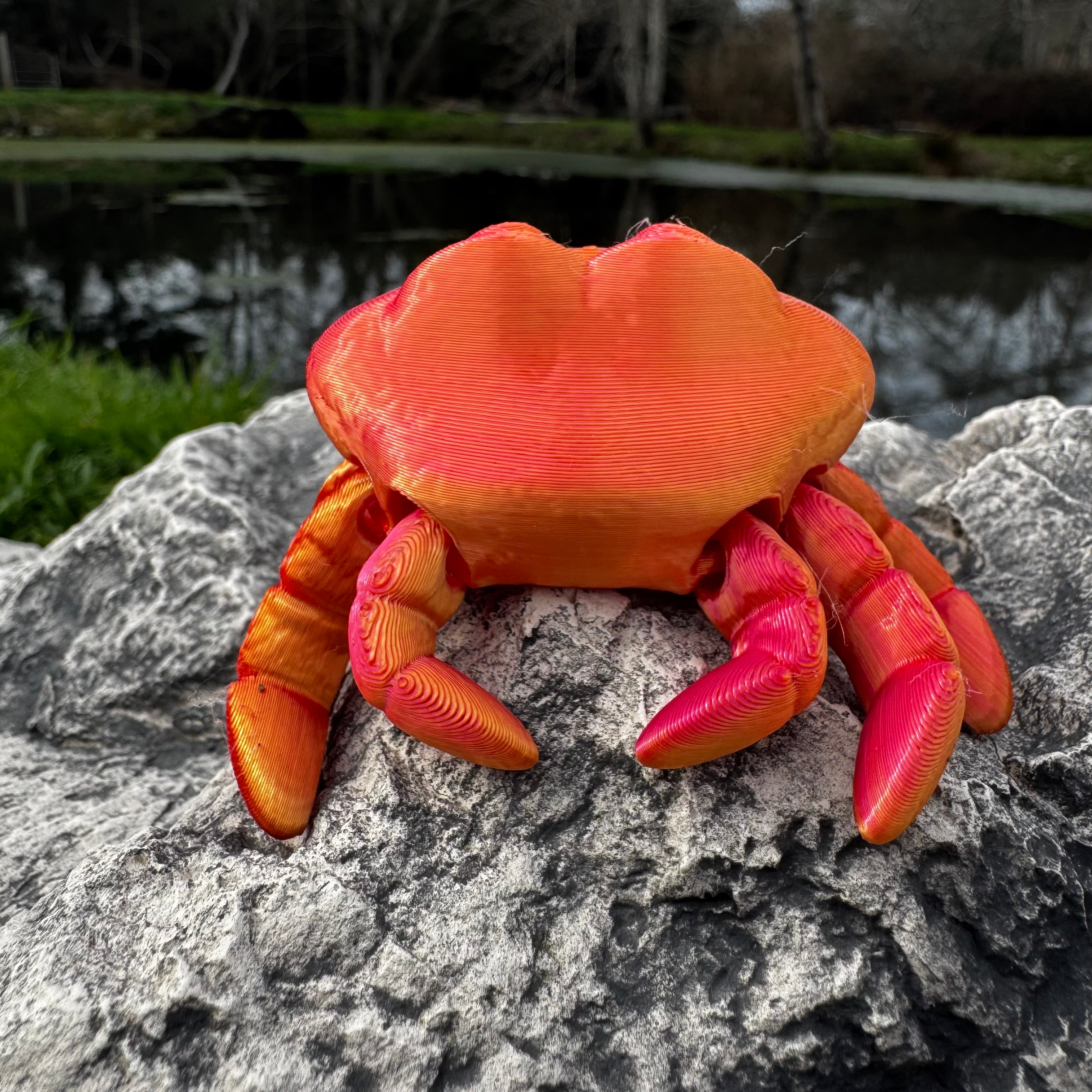 Crab