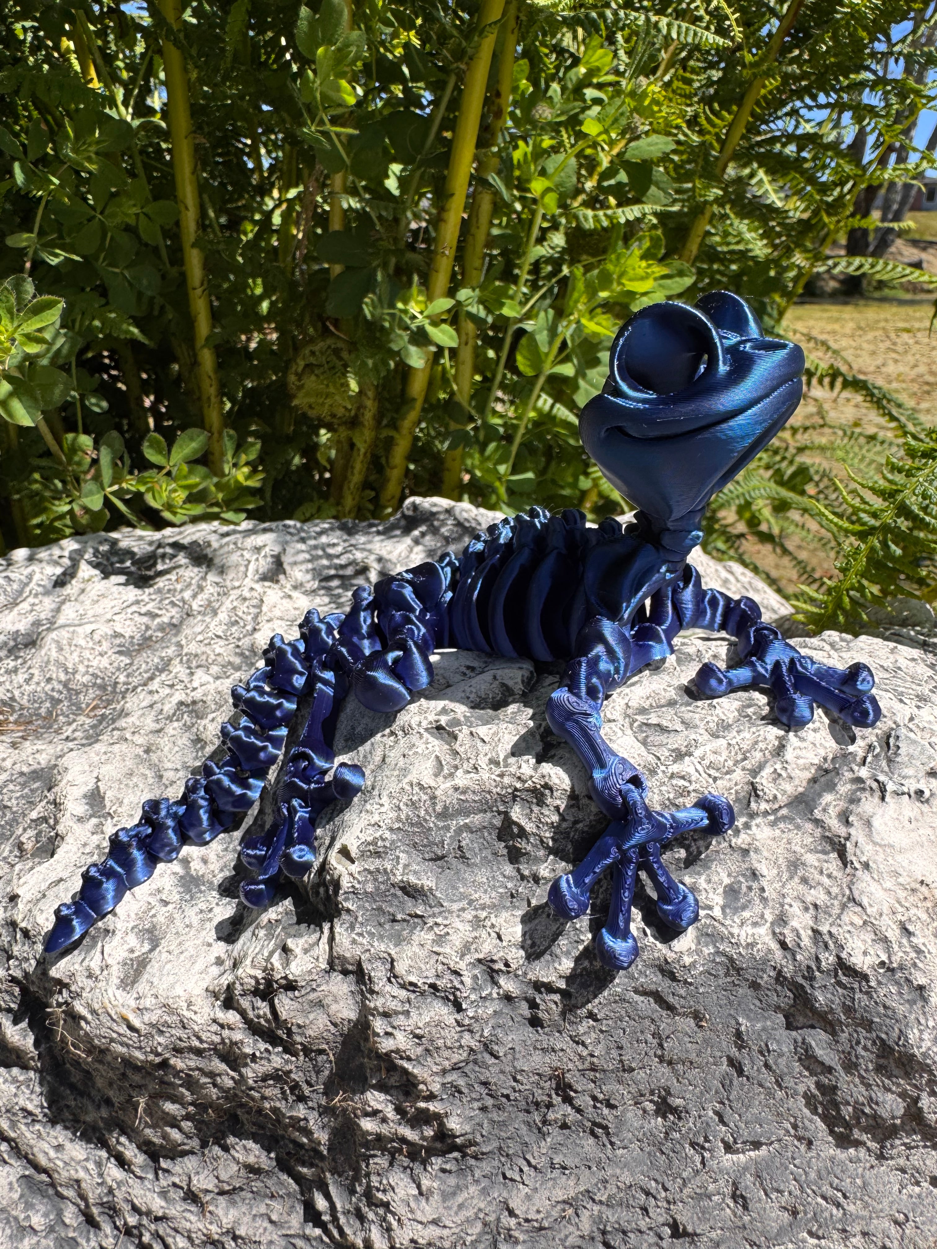 Gecko