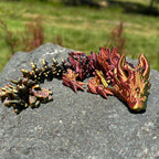 Baby Lunar Dragon
