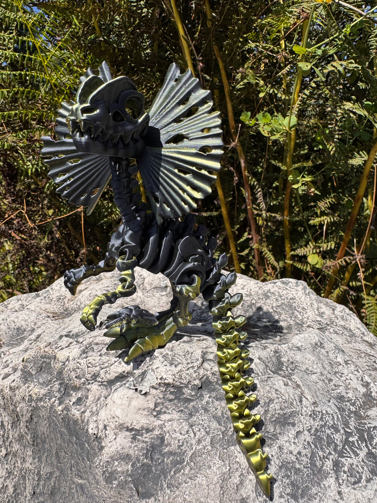 Dilophosaurus