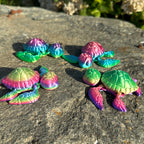Sea Turtle