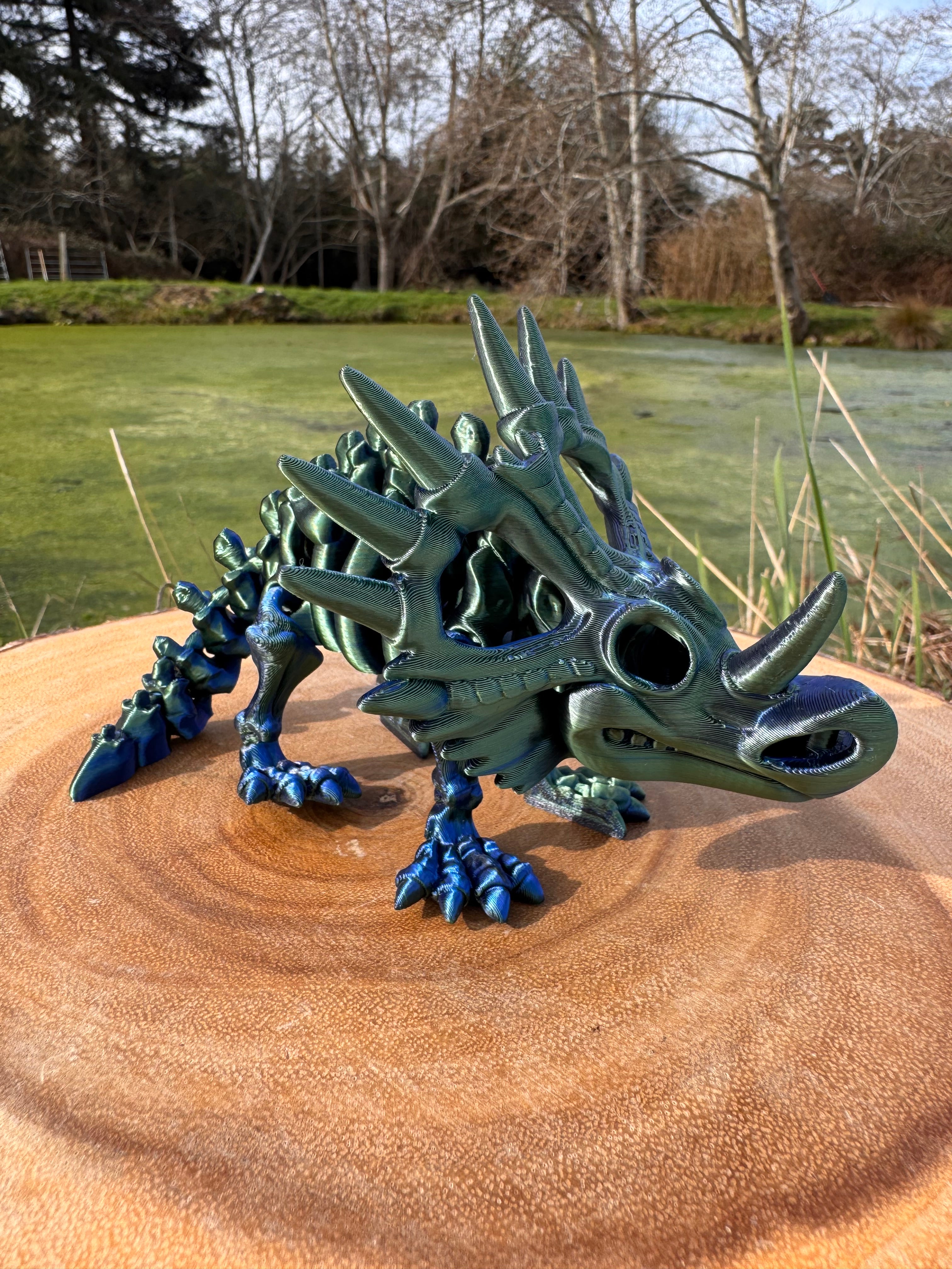 Styracosaurus