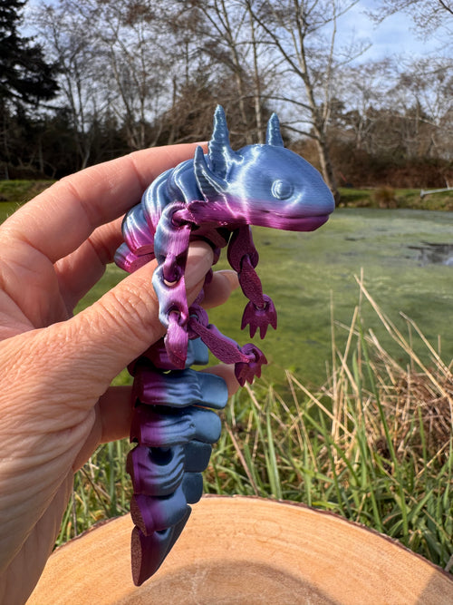 Axolotl