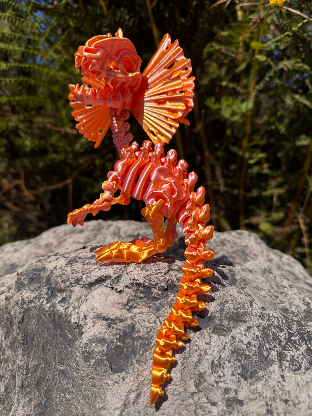 Dilophosaurus